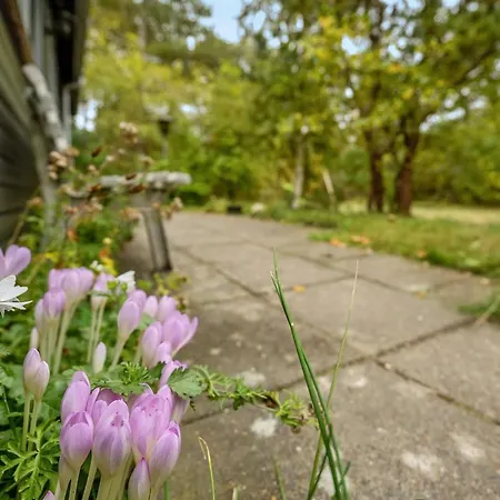 Ferienhaus Amala - 2-5km From The Sea By Interhome Kongsmark